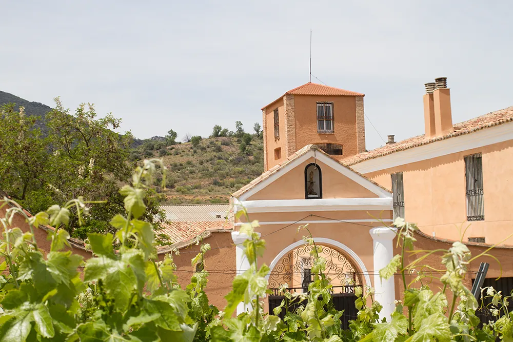 Fachada Bodega Libre y Salvaje