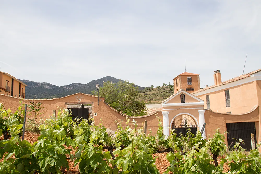 Fachada Bodega Libre y Salvaje